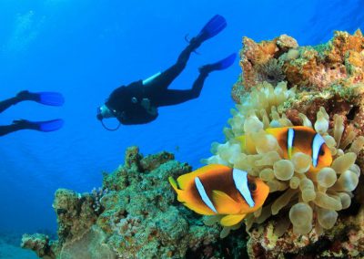 diving in sri lanka