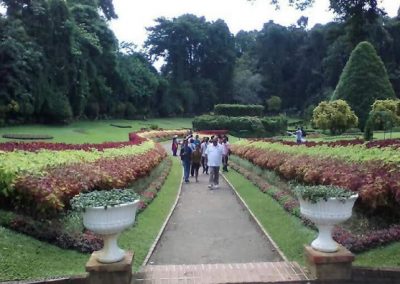 Botanical garden